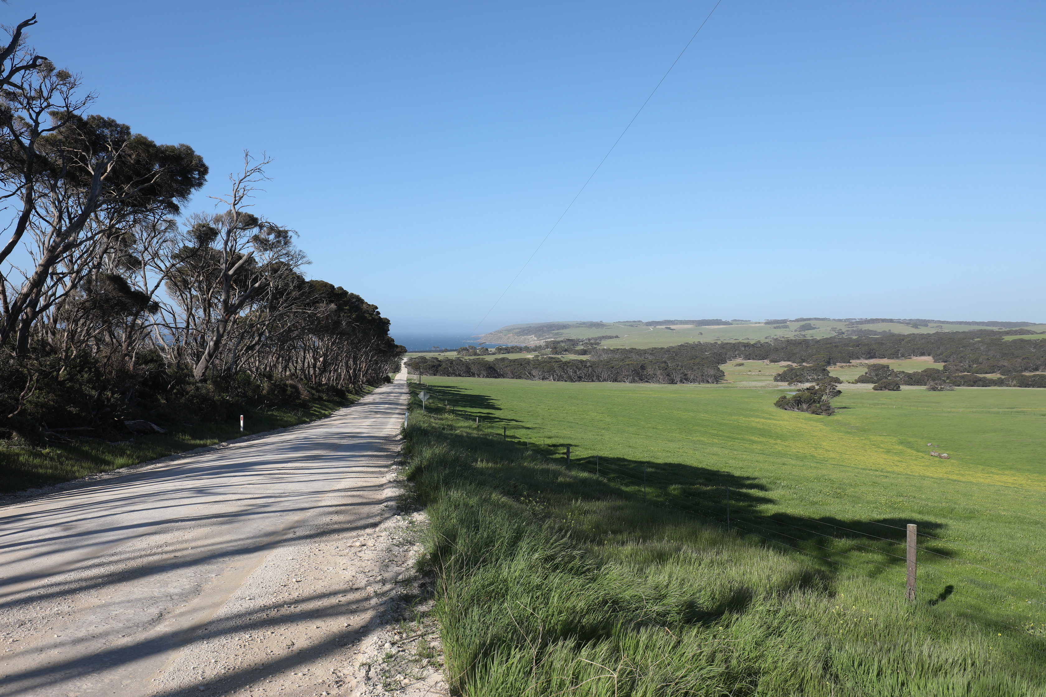 2019 10 02 16 00 58 Canon EOS 5D Mark IV 0034